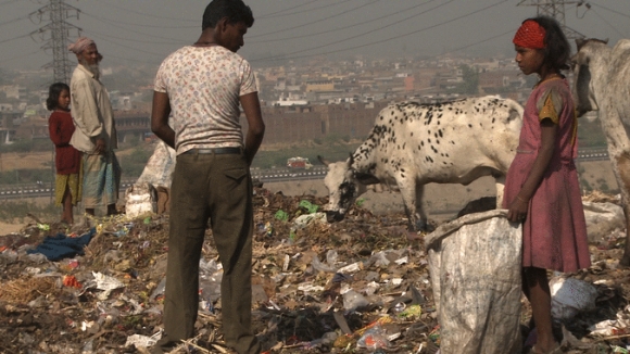 Photo from the movie The Carbon Rush