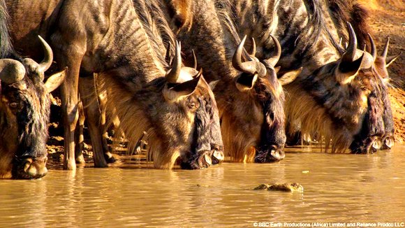 Photo du film Enchanted Kingdom
