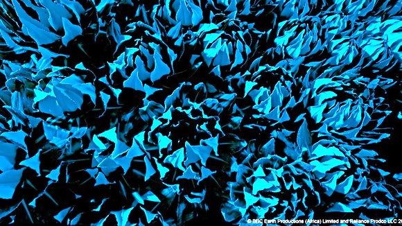 Photo du film Enchanted Kingdom