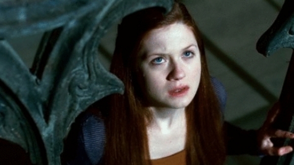 Photo du film Harry Potter et les reliques de la mort: 2e partie