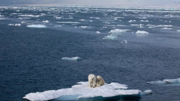 Photo du film Arctique