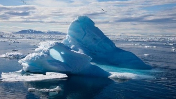 Photo du film Arctique