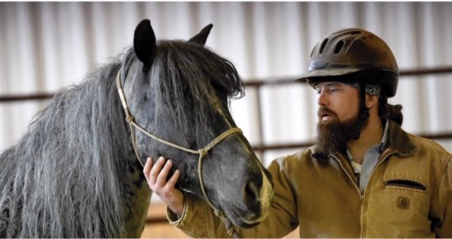 Photo du film Mustang Saviors