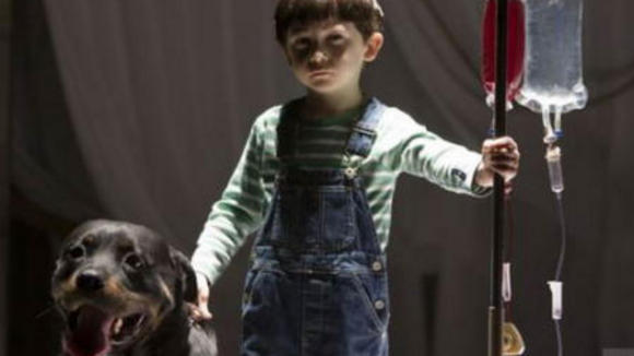 Photo du film La Malédiction