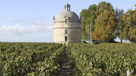 Photo from the movie Red Obsession