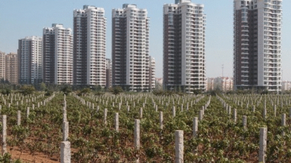 Photo from the movie Red Obsession