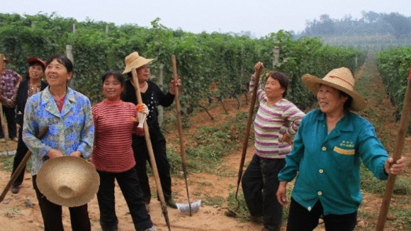 Photo from the movie Red Obsession