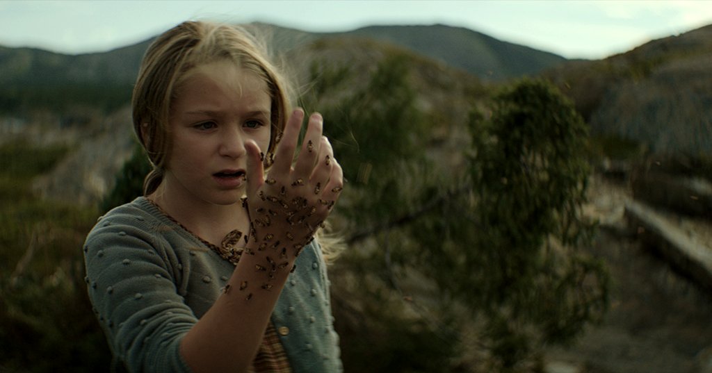 Photo du film La grande marée