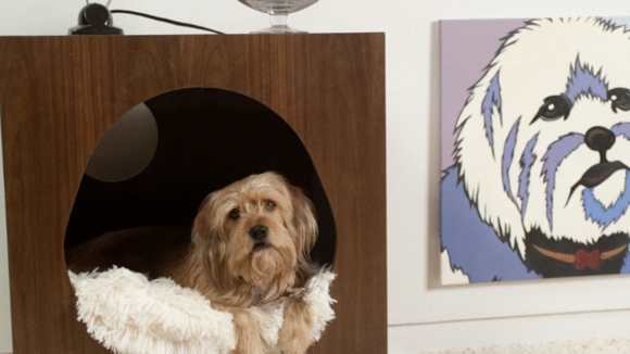 Photo from the movie Anchorman 2: The Legend Continues