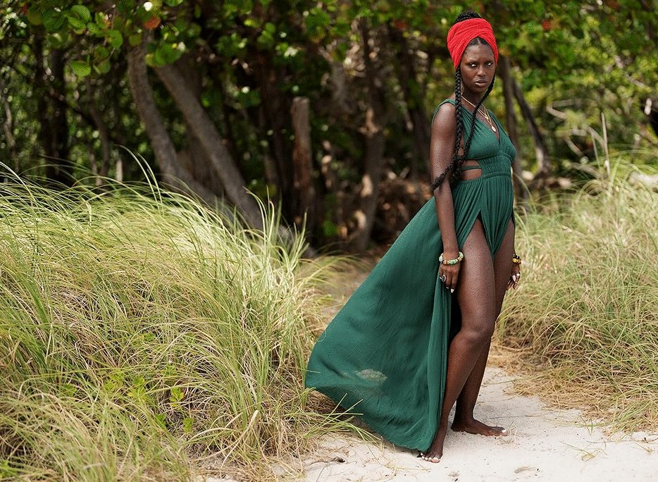 Photo du film Bad Monkey