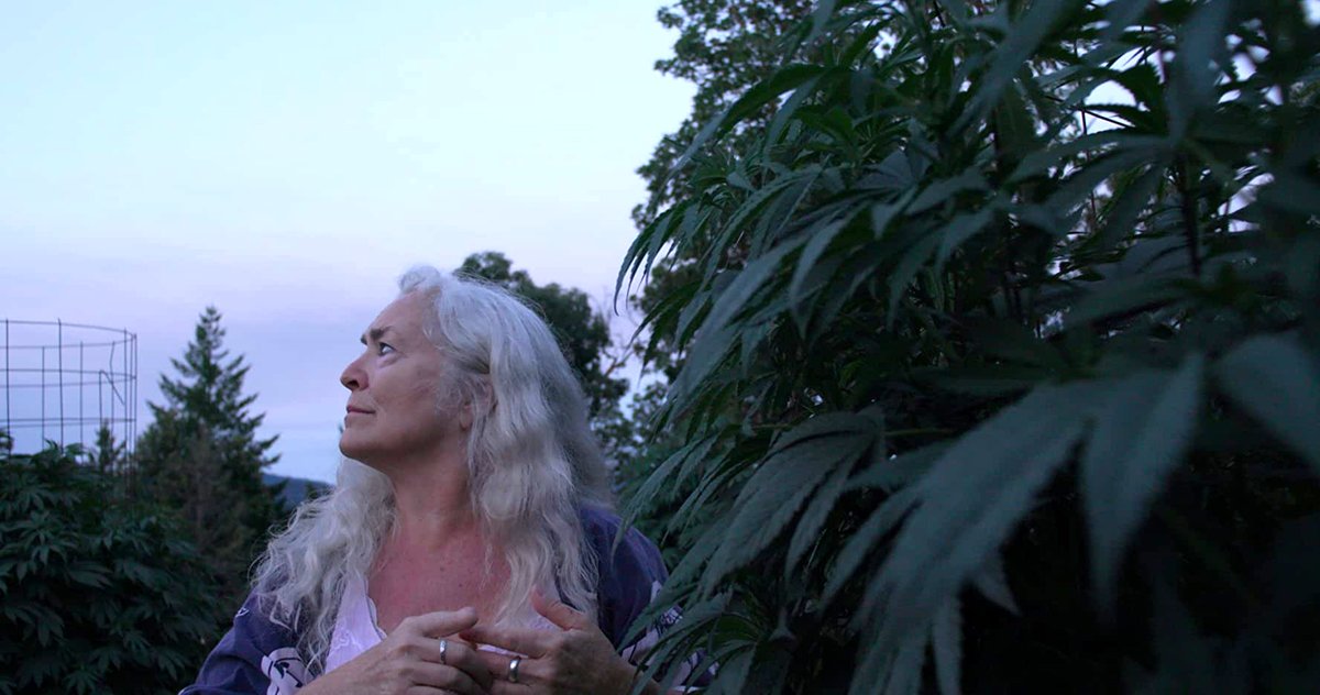 Photo du film Freeland