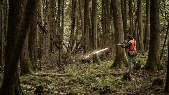 Photo from the movie Our Loved Ones