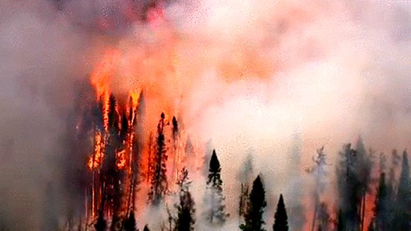 Photo du film Saving My Tomorrow