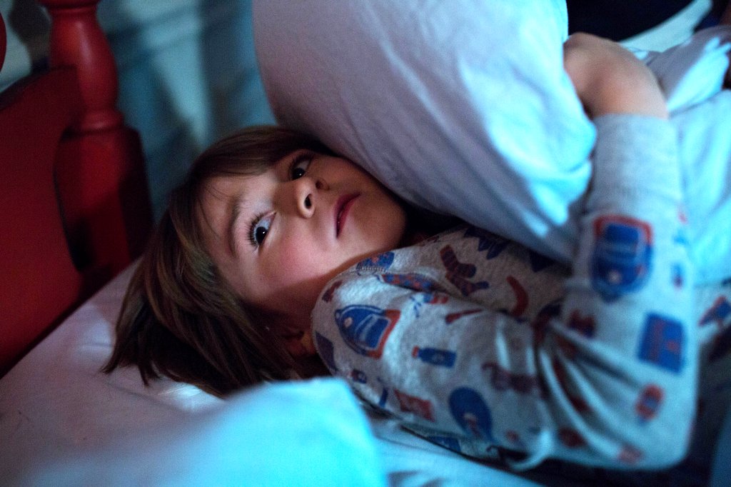 Photo du film The Disappointments Room