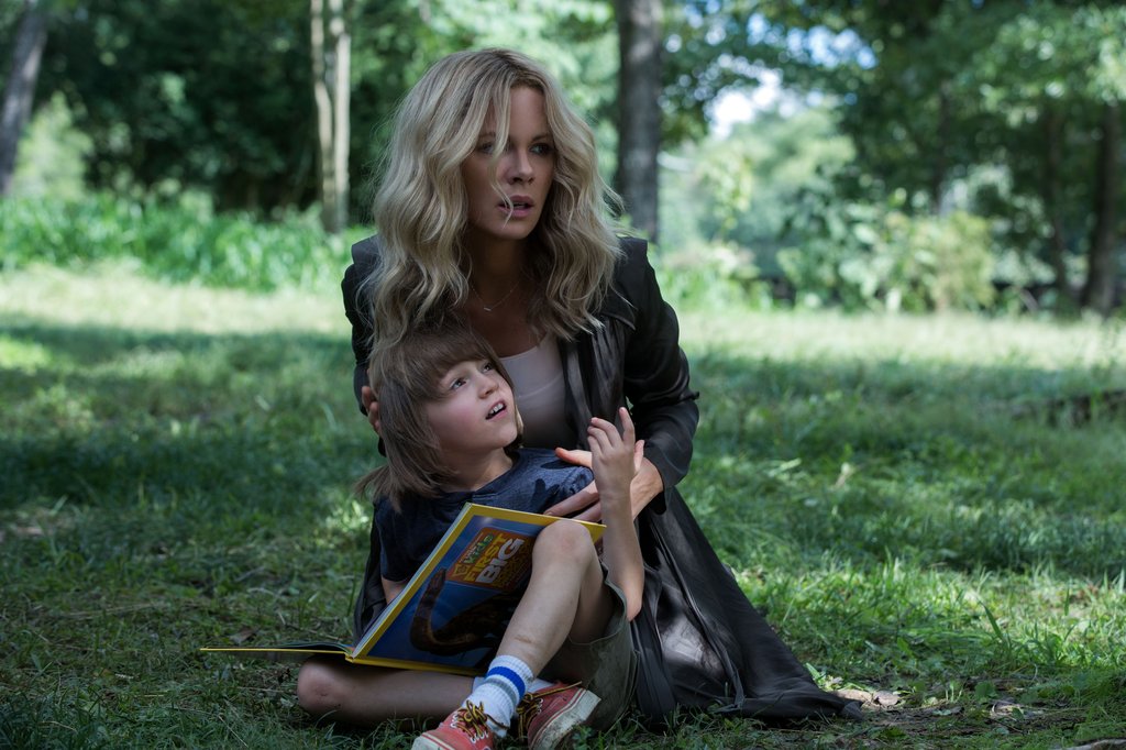 Photo du film The Disappointments Room