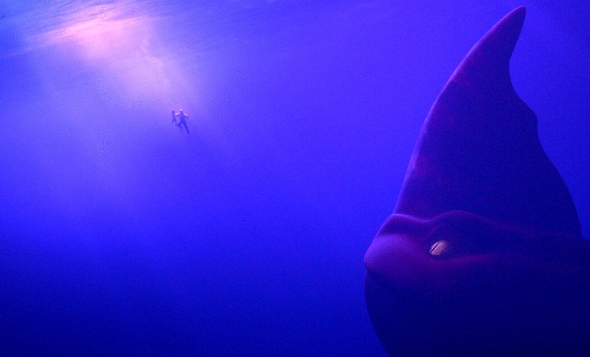 Photo from the movie The Sea Beast