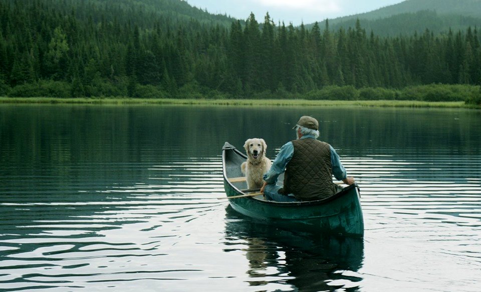 Photo from the movie And the Birds Rained Down