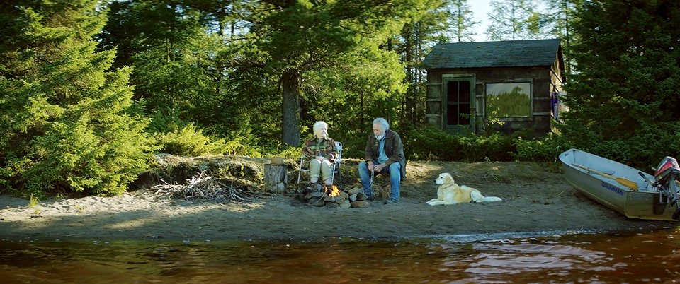 Photo from the movie And the Birds Rained Down