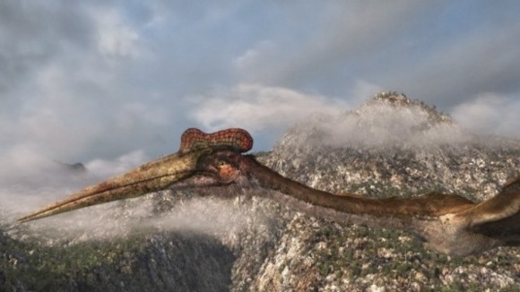 Photo from the movie Flying Monsters