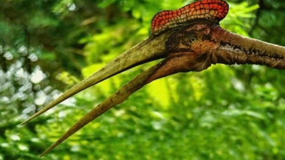 Photo from the movie Flying Monsters