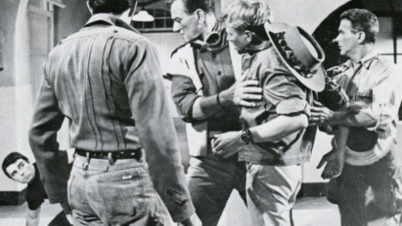 Photo du film Hatari!