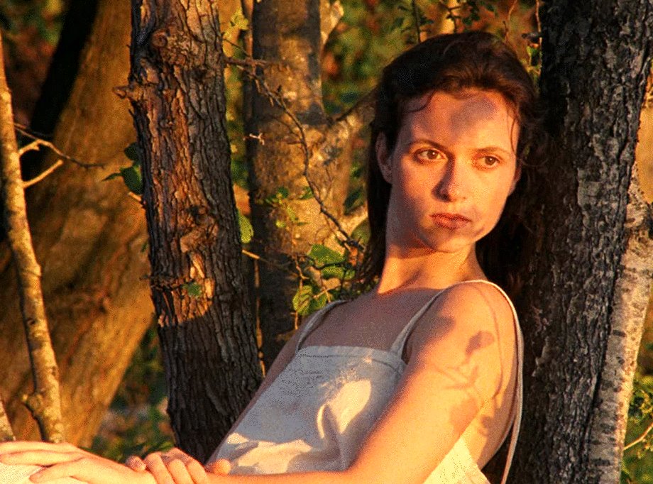 Photo du film L'envol