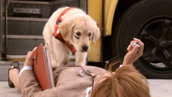 Photo du film Space Buddies