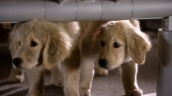 Photo du film Space Buddies