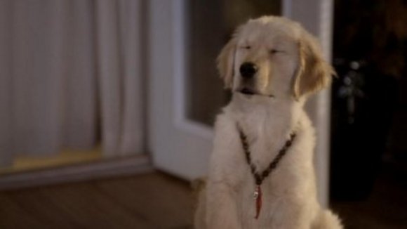 Photo du film Space Buddies