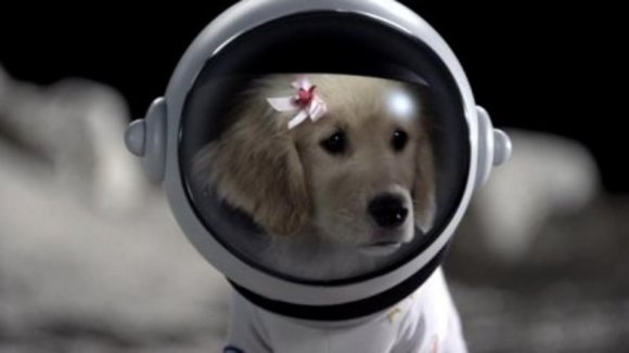 Photo du film Space Buddies