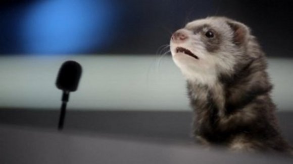 Photo du film Space Buddies