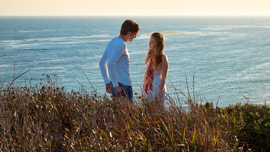 Photo from the movie SPF-18