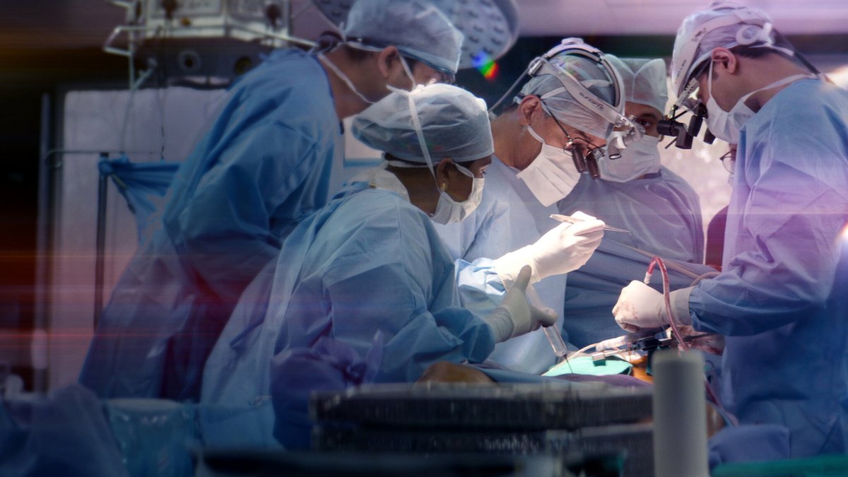 Photo du film The Surgeon's Cut