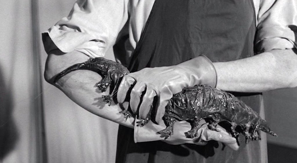 Photo du film The Tingler