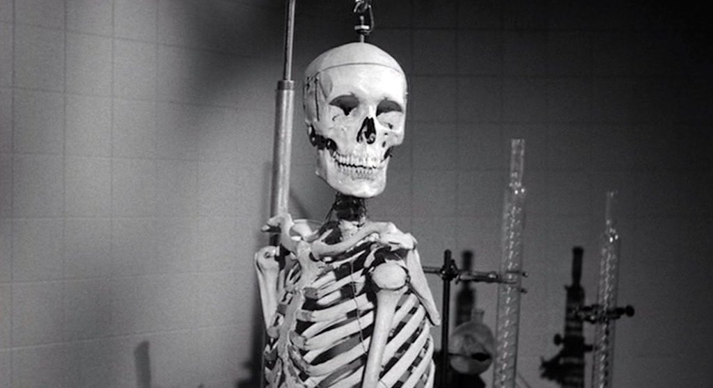 Photo du film The Tingler