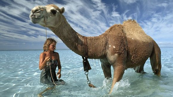 Photo du film Tracks