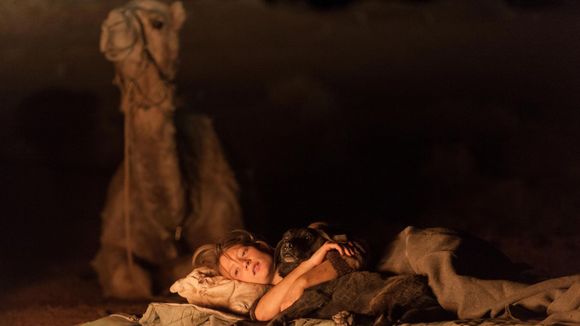 Photo du film Tracks