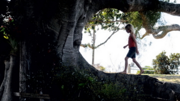 Photo du film L'Arbre