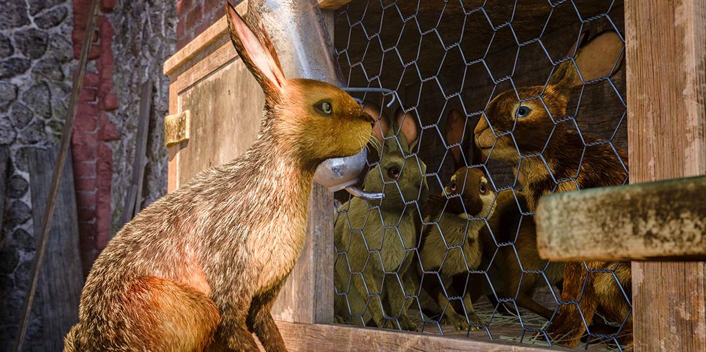 Photo du film Watership Down