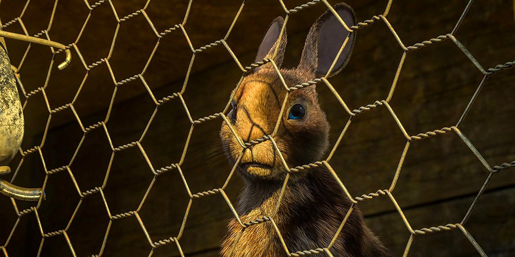 Photo du film Watership Down
