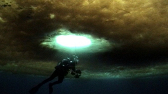 Photo du film The Wild Blue Yonder