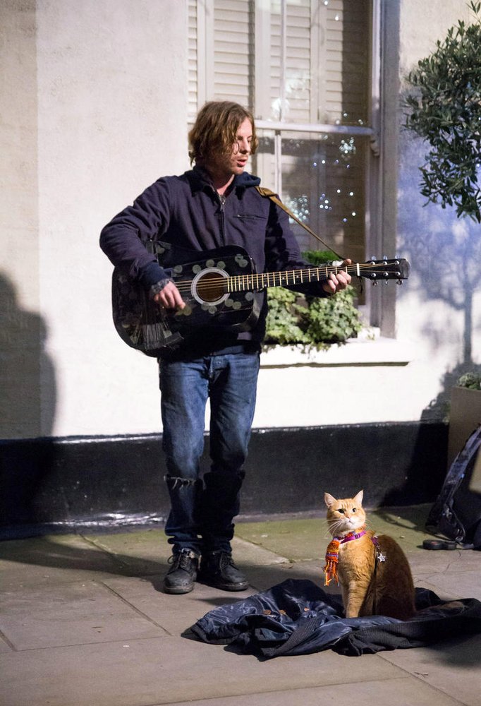 Photo du film A Street Cat Named Bob