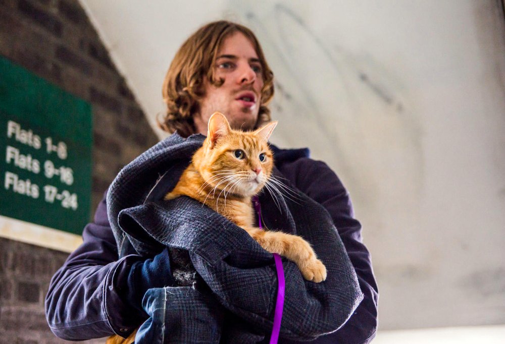 Photo du film A Street Cat Named Bob