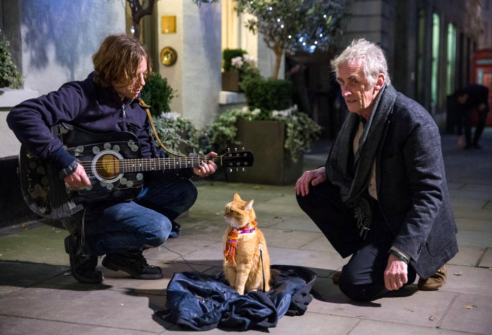 Photo du film A Street Cat Named Bob