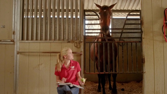 Photo du film La Chance d'une vie