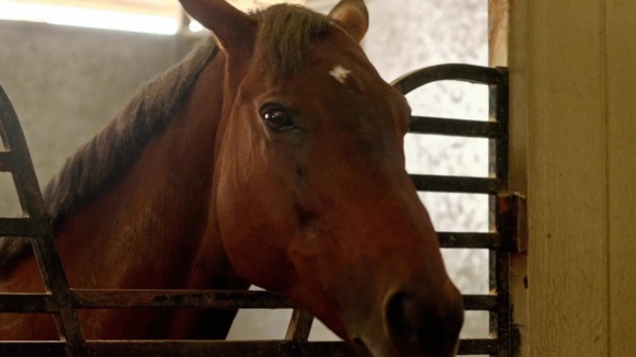 Photo du film La Chance d'une vie