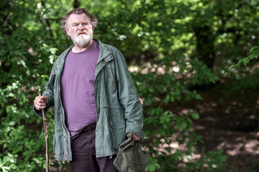 Photo du film Hampstead