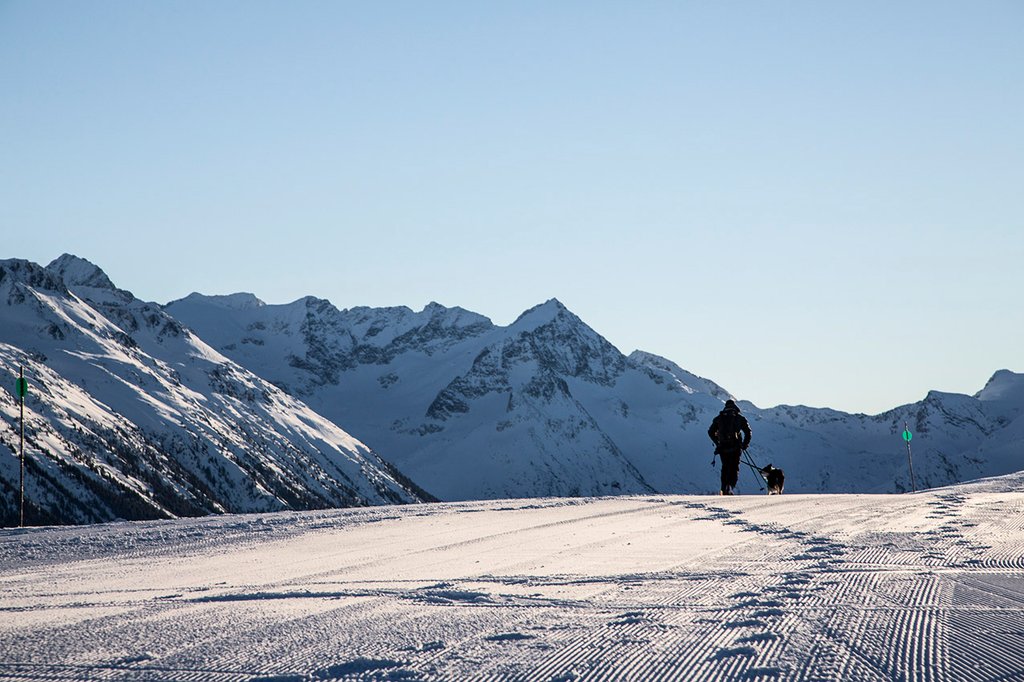 Photo from the movie Superpower Dogs