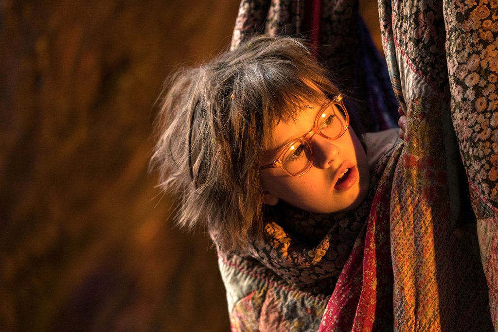 Photo du film Le Bon gros géant