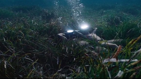 Photo du film L'Odyssée